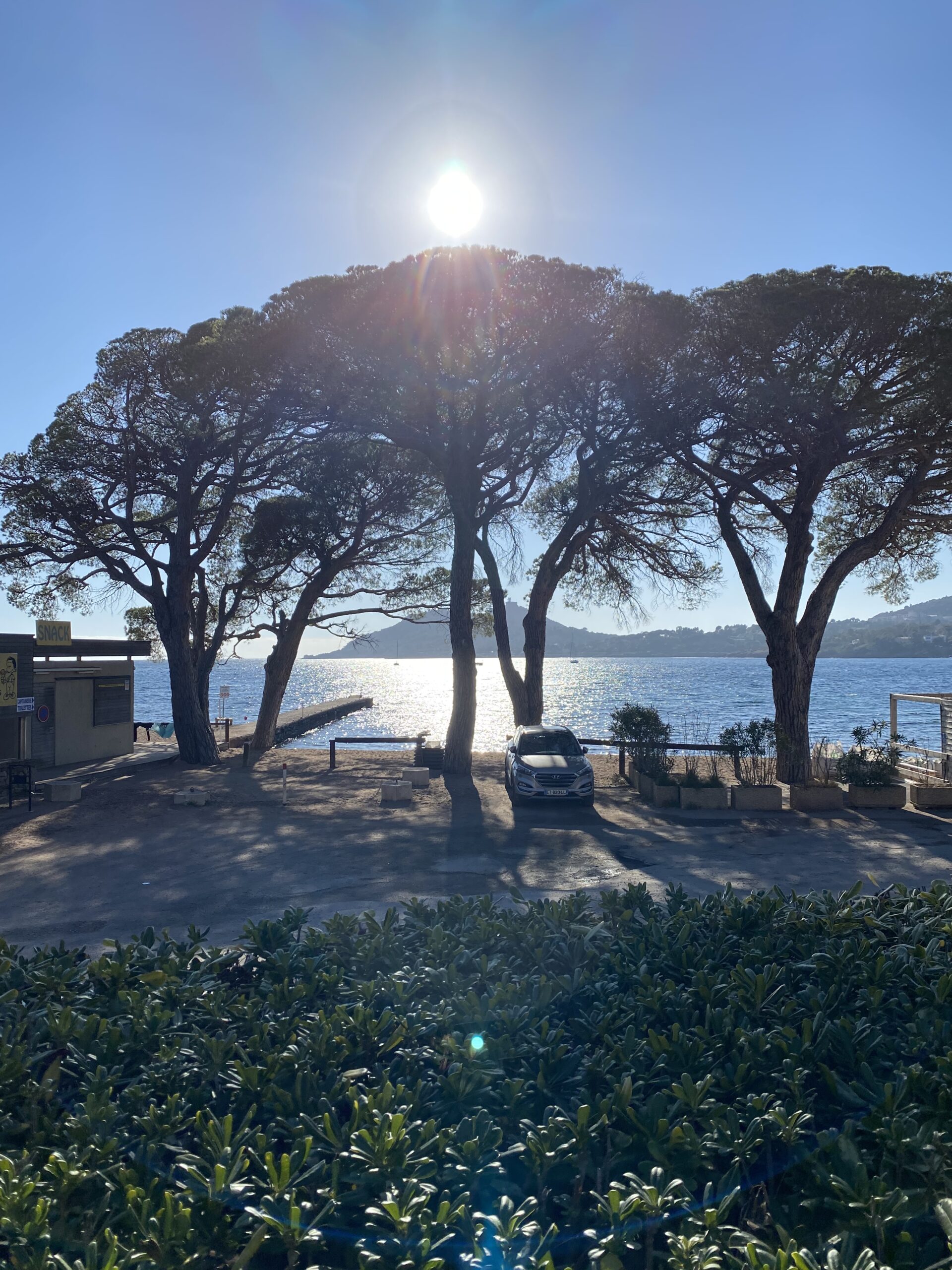 Appartement R+1 Gauche - Jardin vue mer